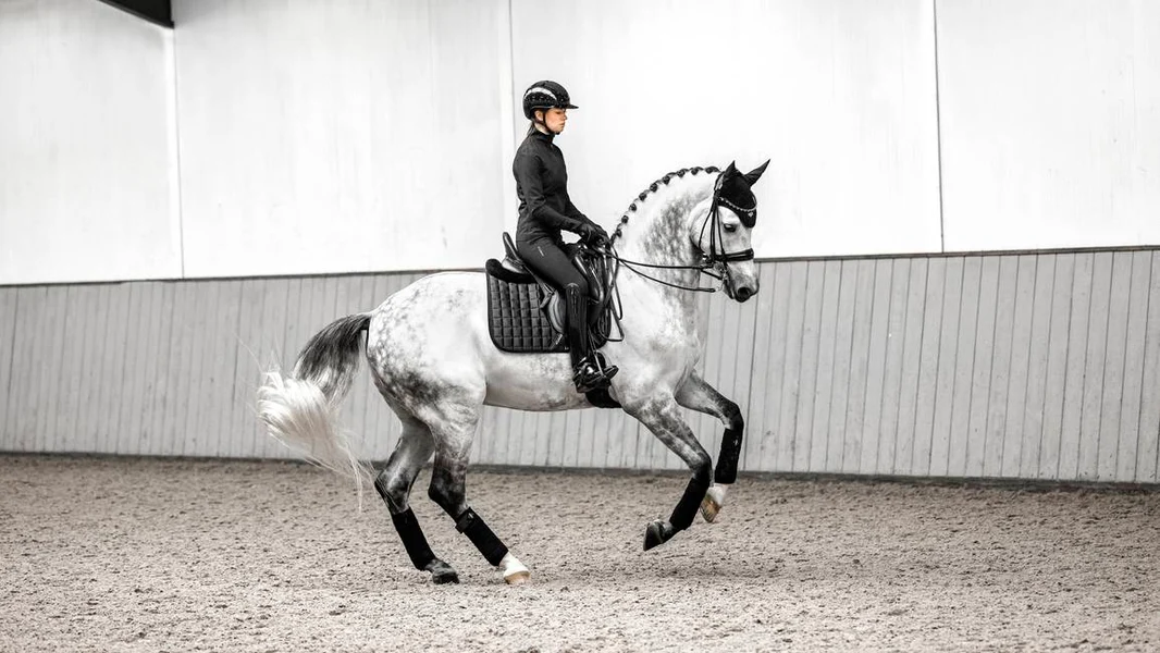 LeMieux Core Loire Classic Dressage Square - svart - Bild 2