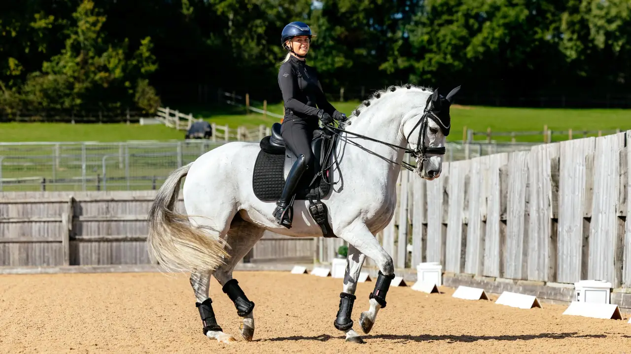 LeMieux Suede Dressage Square - svart - Bild 3