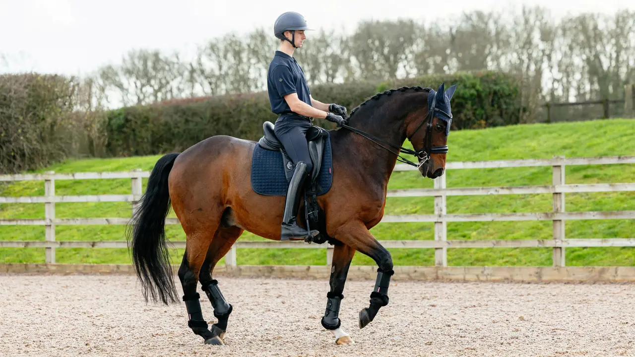 LeMieux Suede Dressage Square - blå - Bild 2